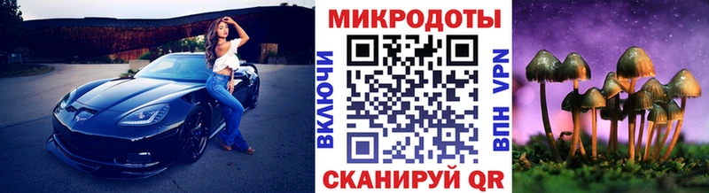 Купить где  Дятьково  Псилоцибиновые грибы MAGIC MUSHROOMS 