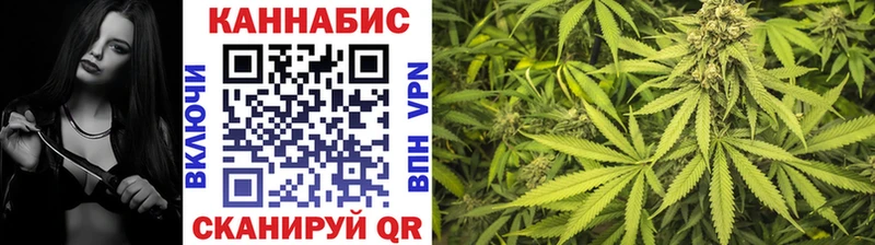 Каннабис тримм  Купить закладки  Дятьково 